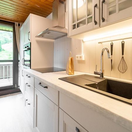 Apartament Winter-Nest Todtnau Zewnętrze zdjęcie