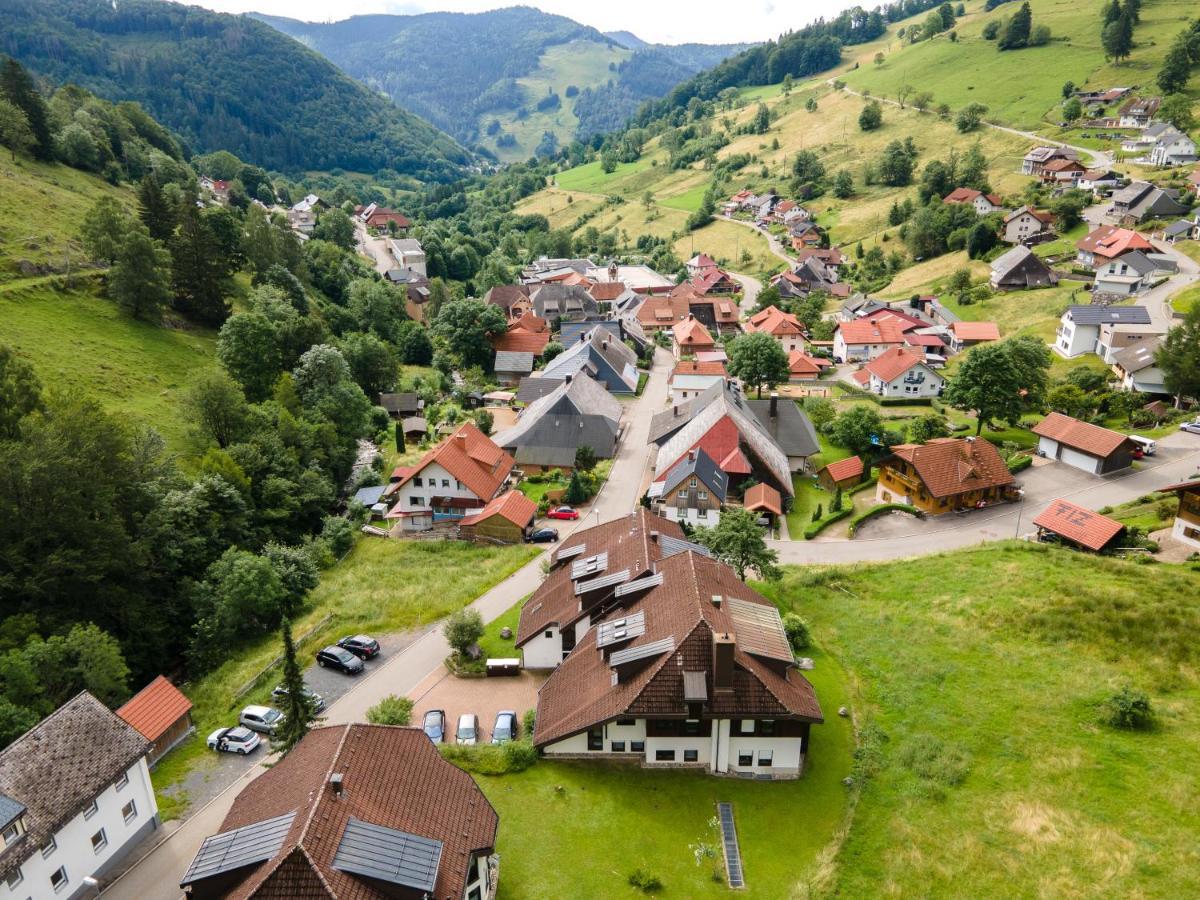 Apartament Winter-Nest Todtnau Zewnętrze zdjęcie