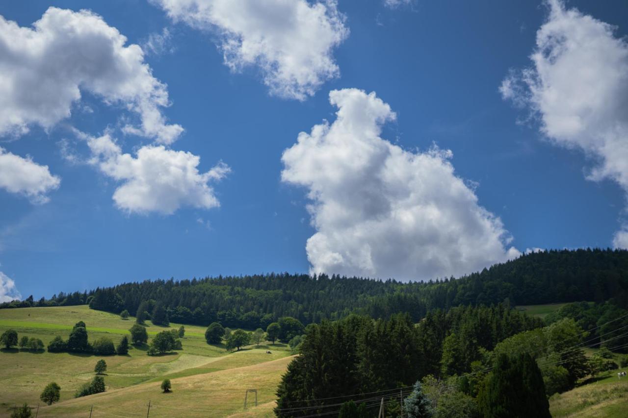 Apartament Winter-Nest Todtnau Zewnętrze zdjęcie