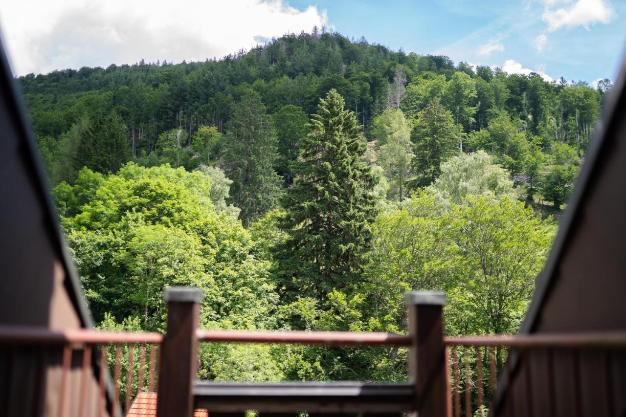 Apartament Winter-Nest Todtnau Zewnętrze zdjęcie