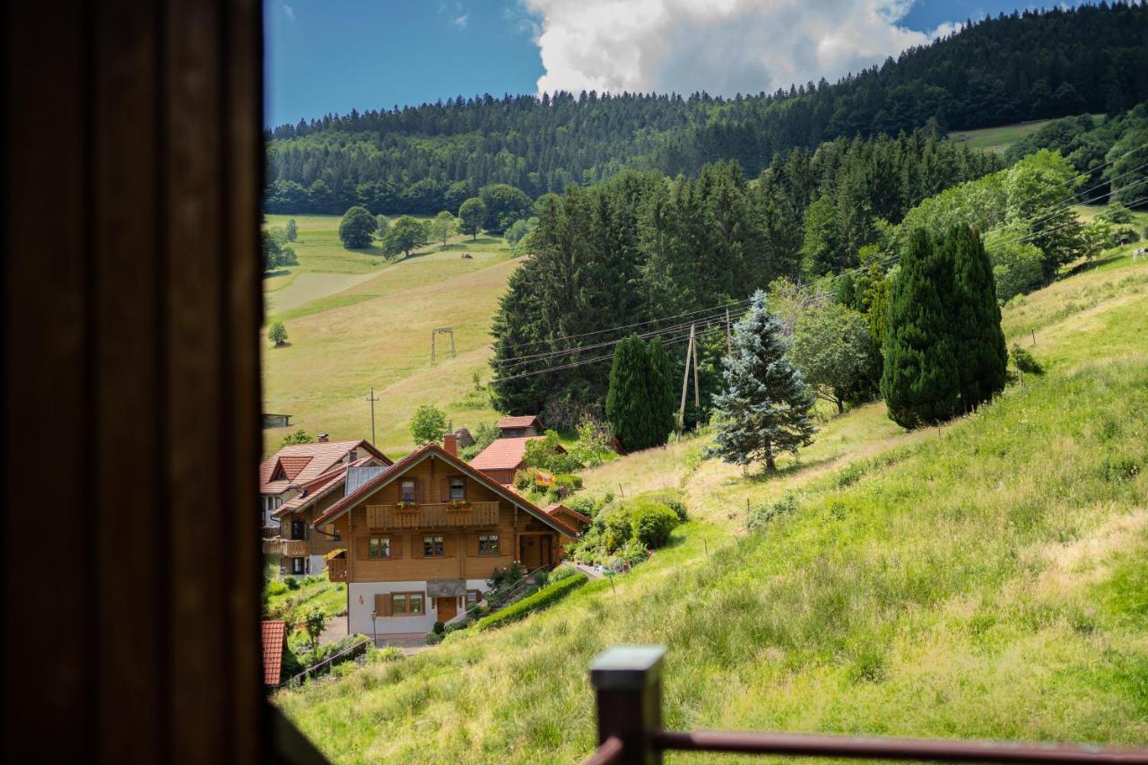 Apartament Winter-Nest Todtnau Zewnętrze zdjęcie